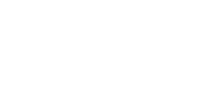 DAI Consultancy Logo